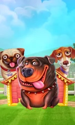 The Dog House